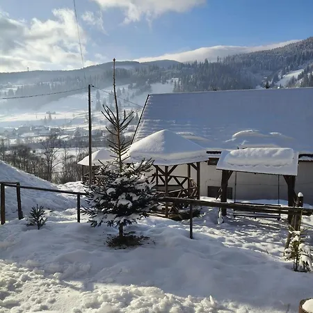 Bucovina * Ciocanesti