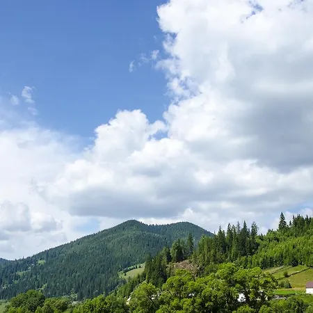 Penzion Bucovina Ciocanesti