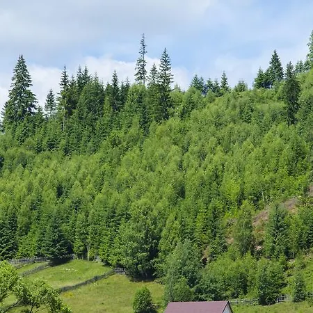 Penzion Bucovina