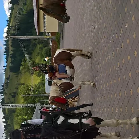 Penzion Bucovina *